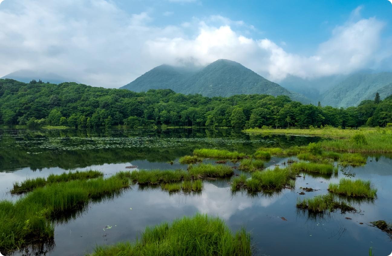 観音沼森林公園