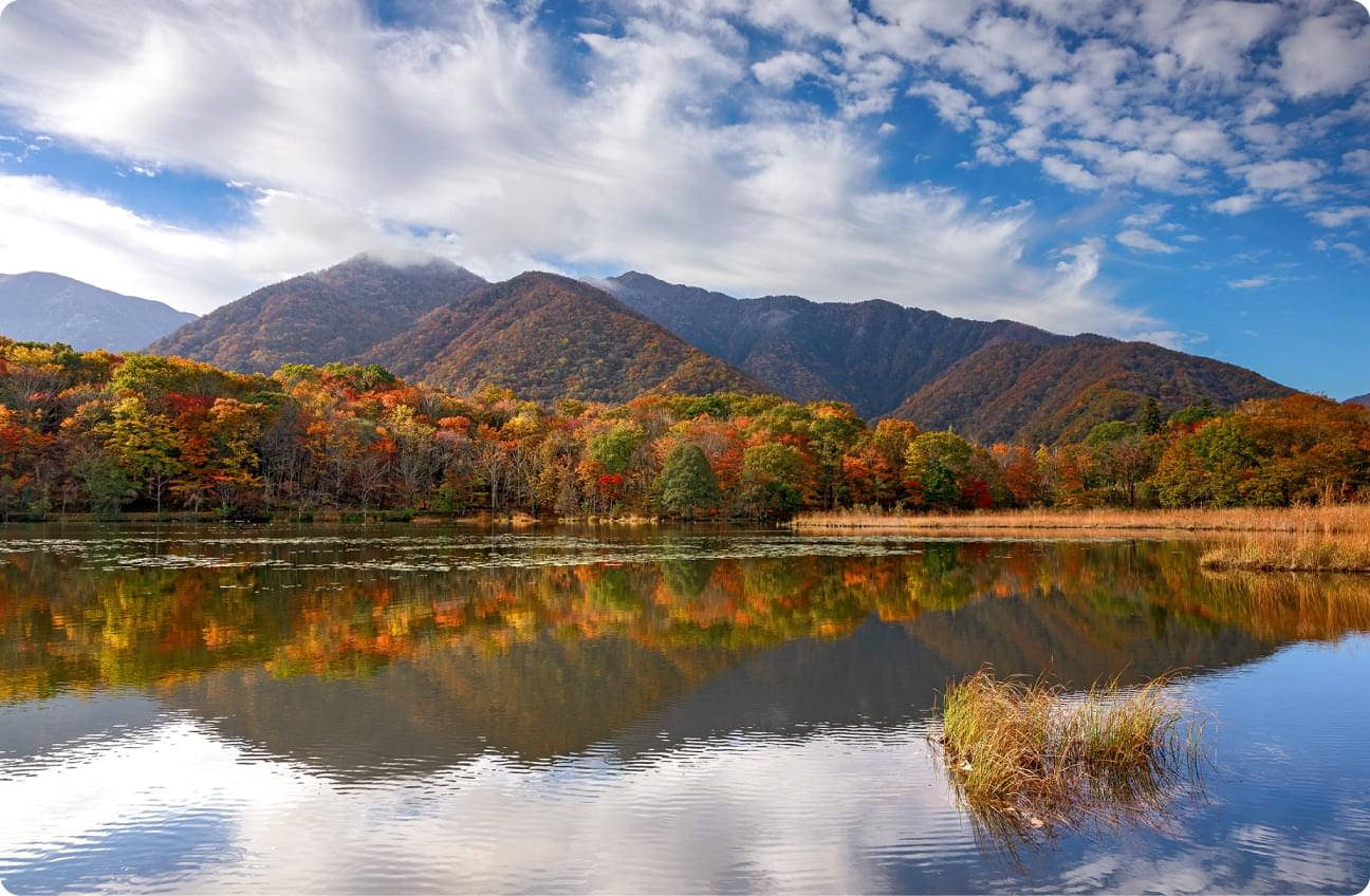 観音沼森林公園
