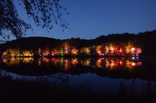 観音沼森林公園紅葉のライトアップ