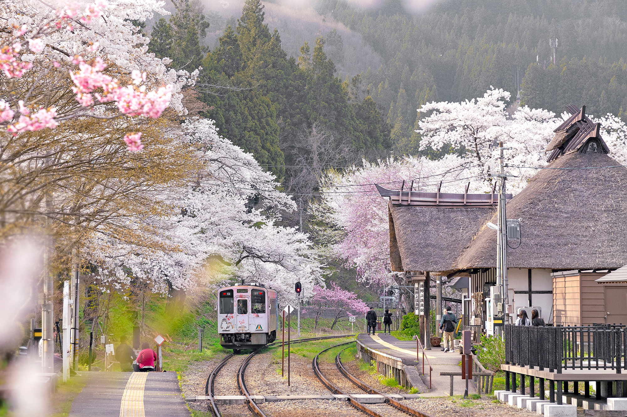 春の湯野上温泉駅