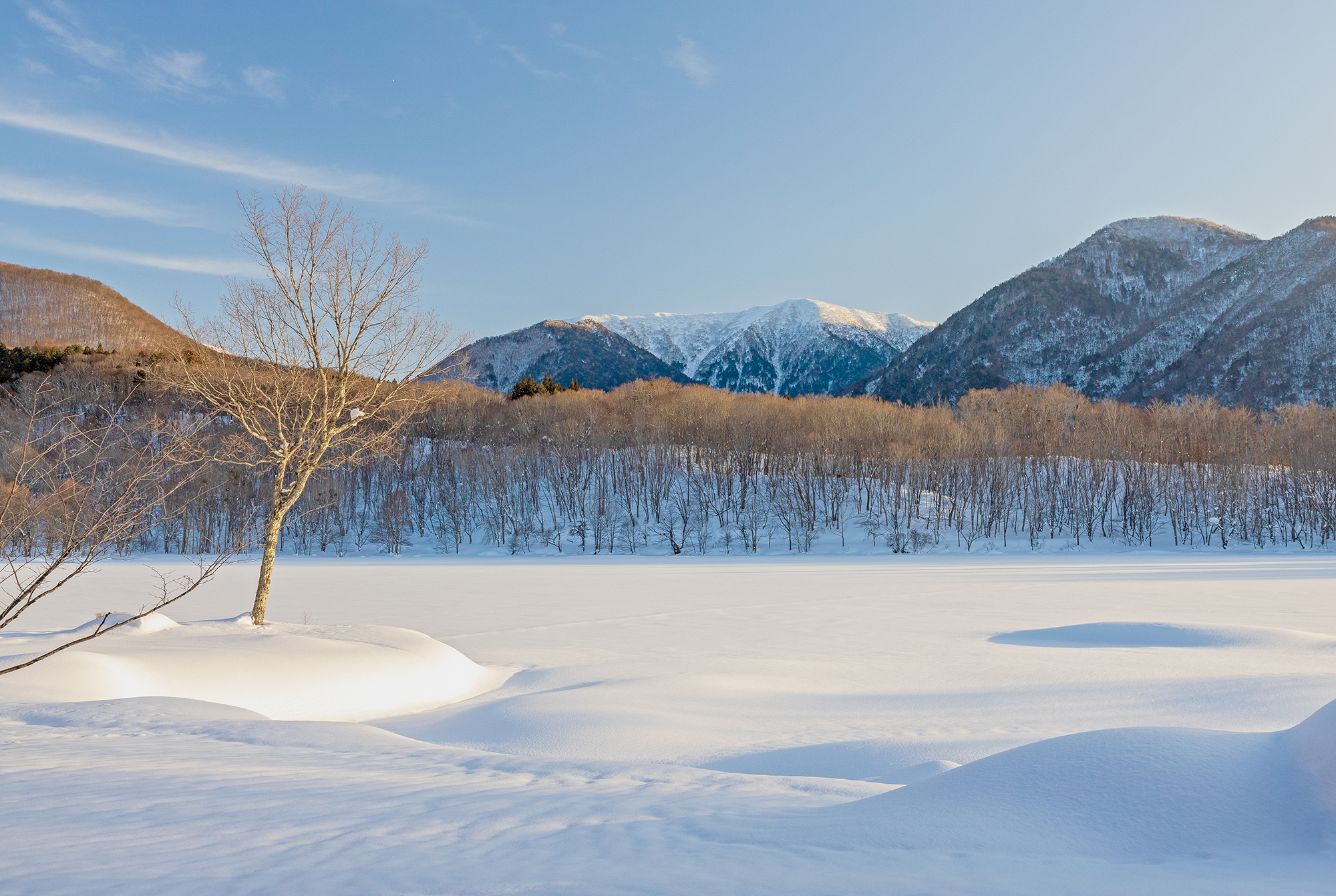 観音沼森林公園
