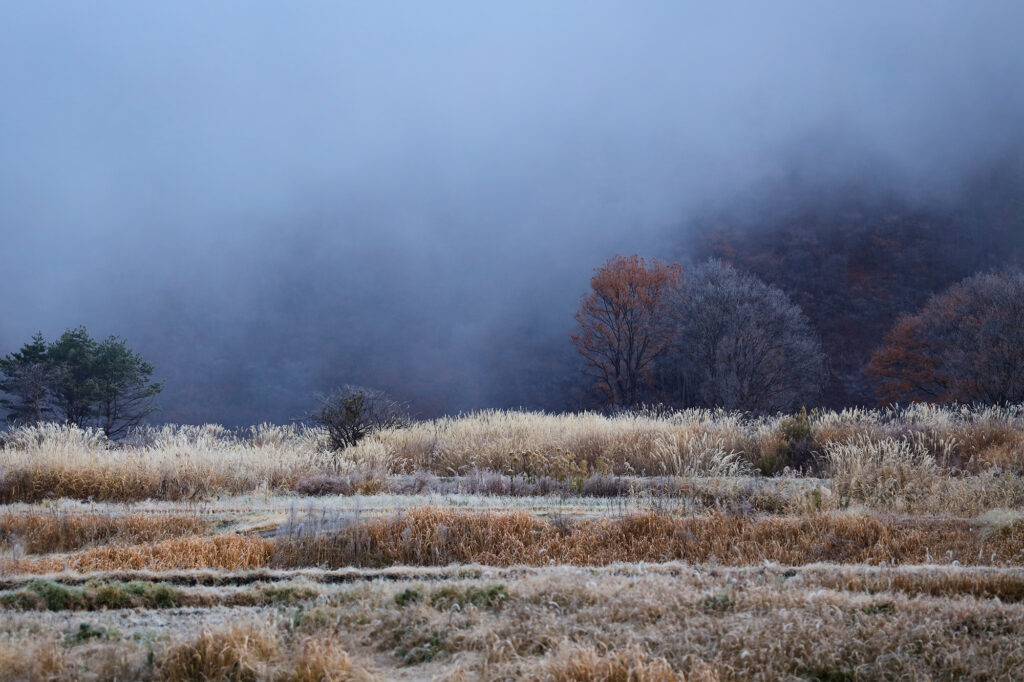 初冬。霧に包まれる幻想的な風景