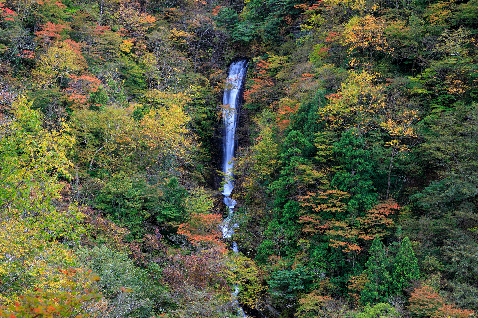 2024年10月25日 下郷町紅葉状況