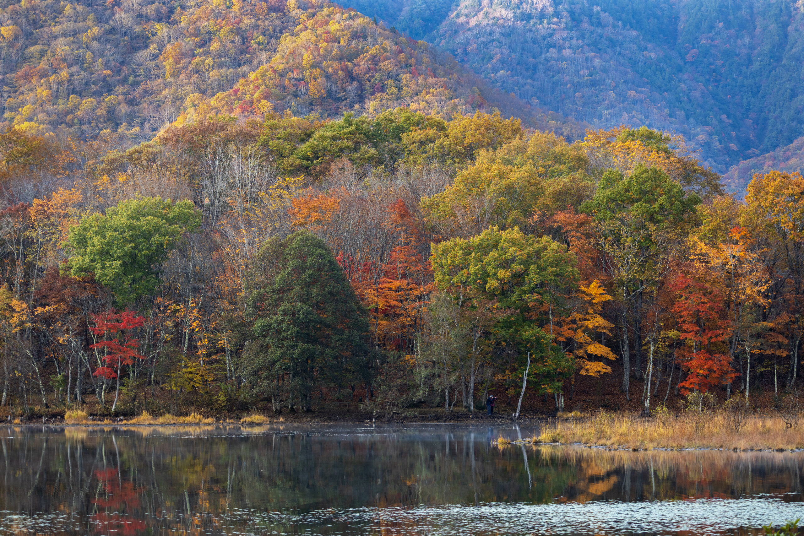 観音沼錦秋 紅葉が描く 秋の観音沼森林公園 | フォトナビ下郷