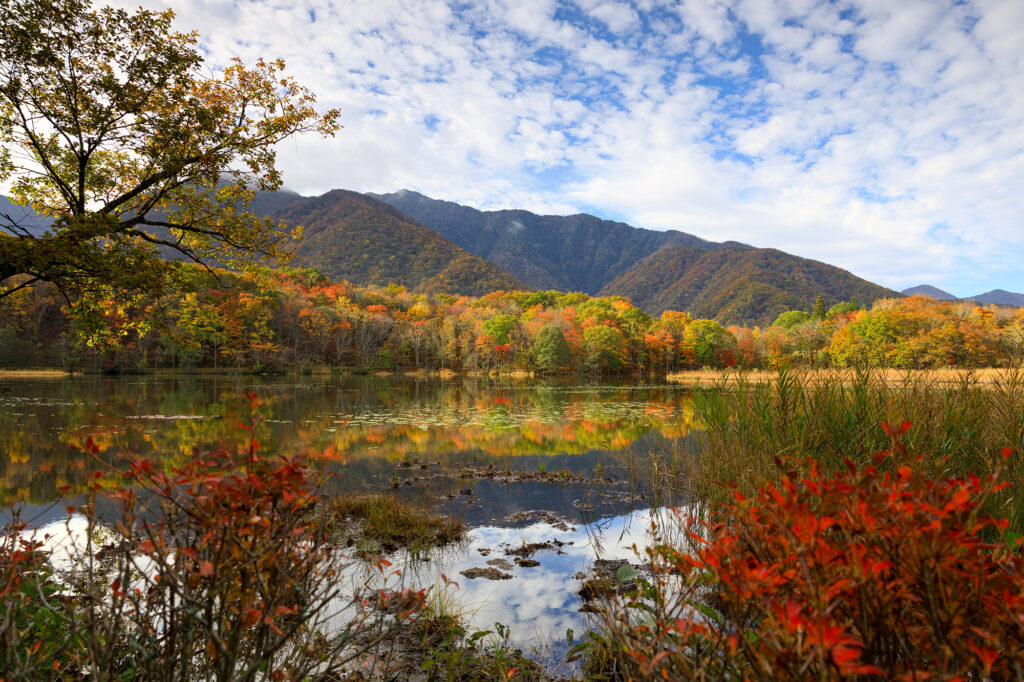 【2024年10月29日現在 】下郷町紅葉の見頃スポット