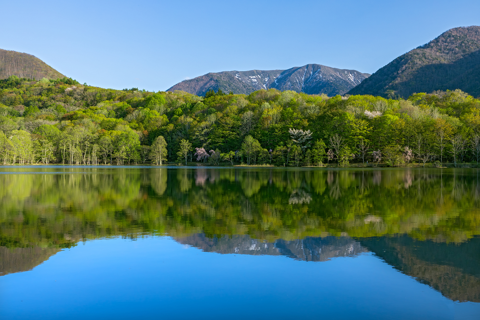 下郷町で出会う新緑と水鏡の絶景