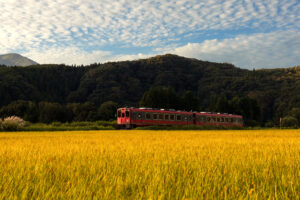 下郷町で見つける初秋の風景