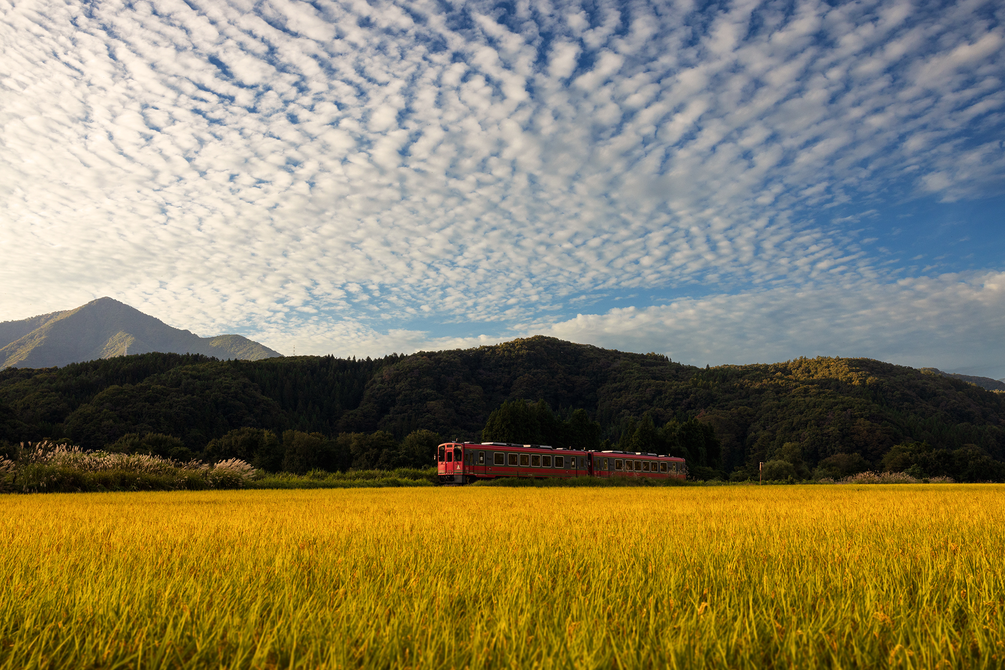 会津鉄道の田園