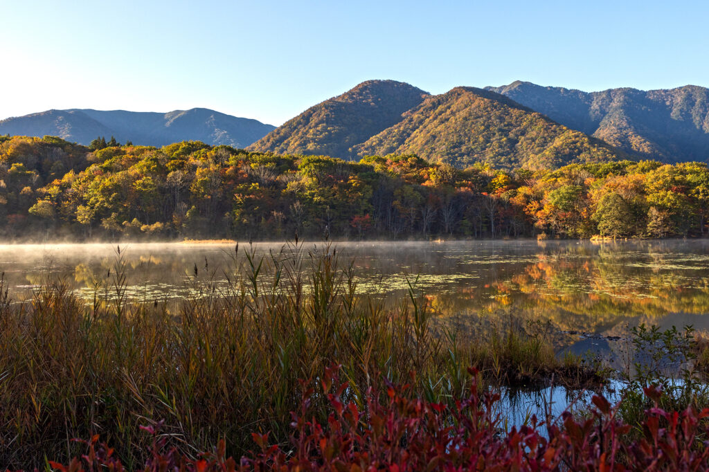 下郷町紅葉情報（2025年10月24日現在）