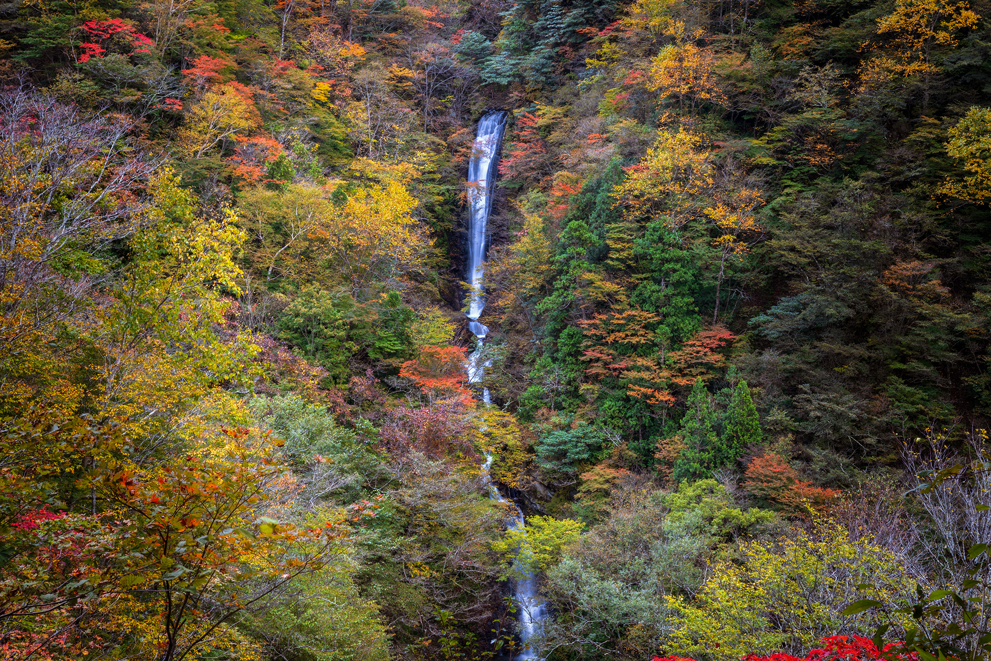 下郷町・日暮の滝の全景
