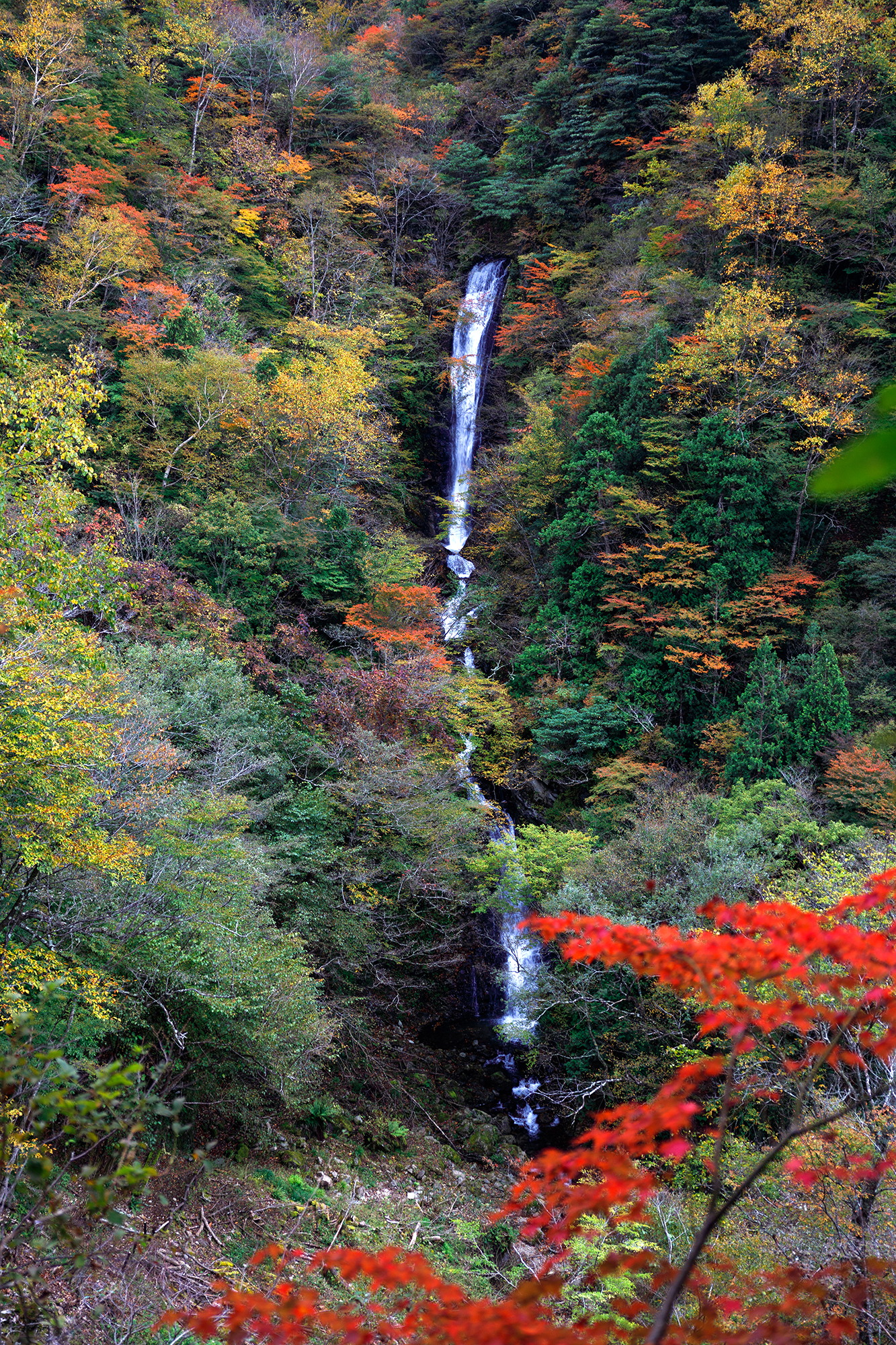 紅葉に包まれた日暮の滝