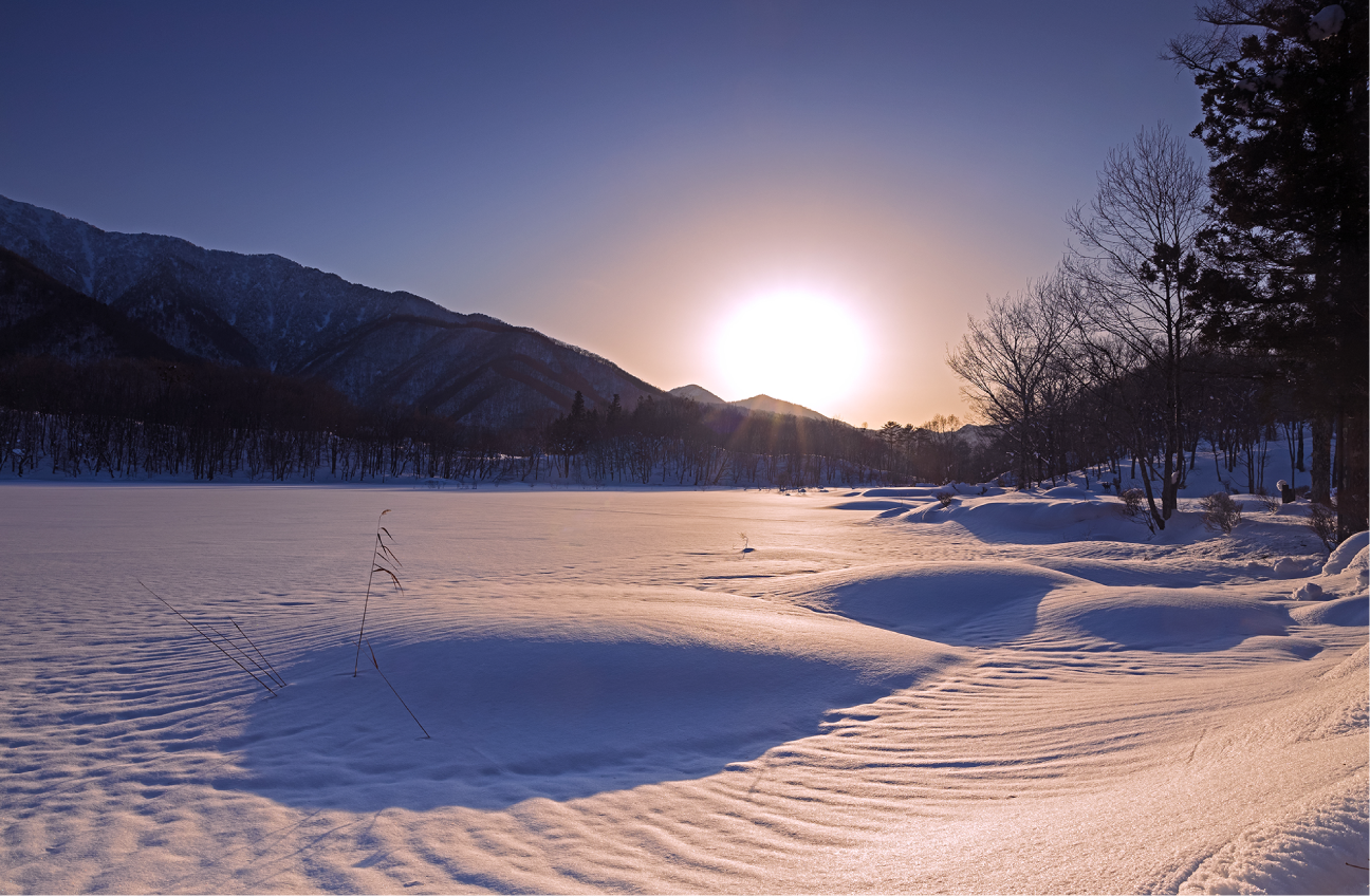 観音沼森林公園