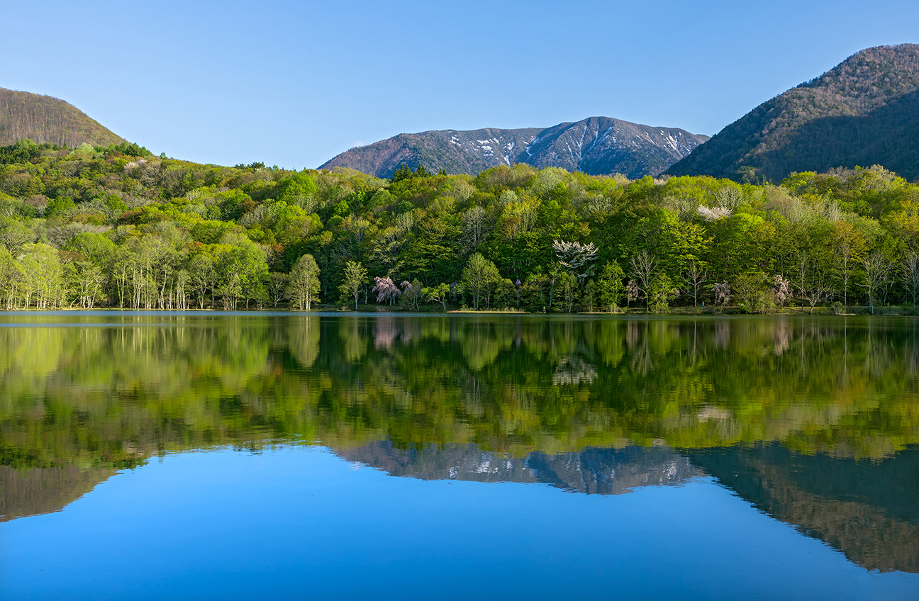 観音沼森林公園