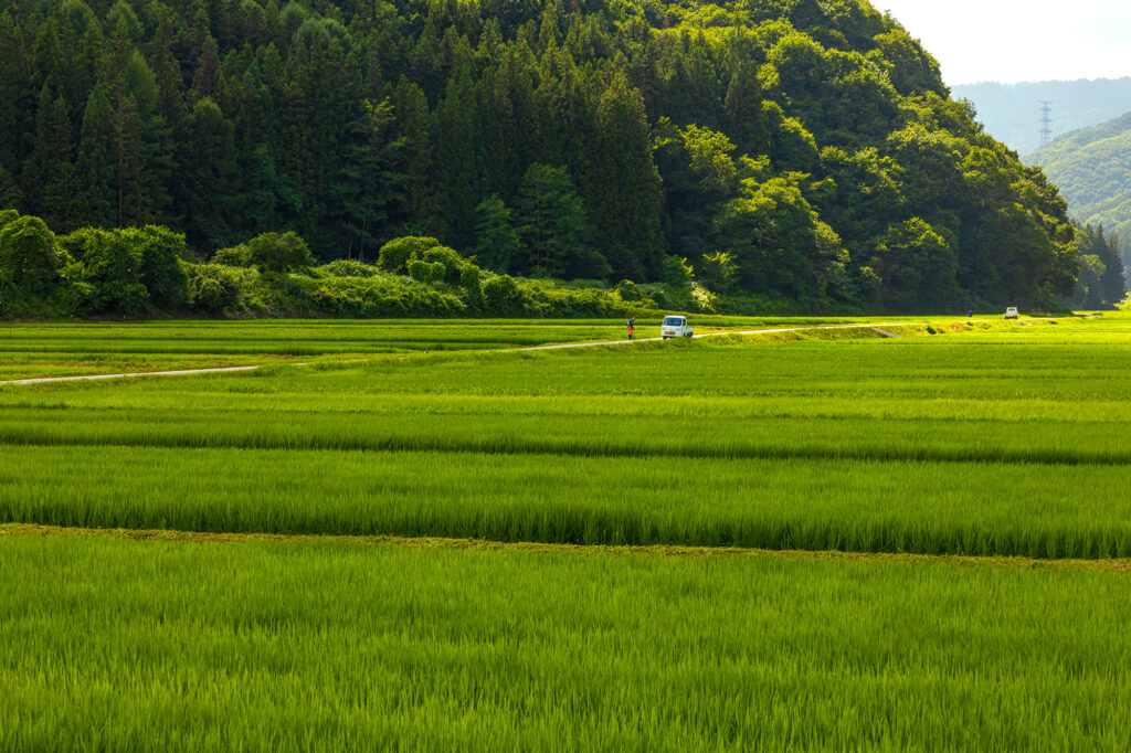 夏の下郷町に広がる涼景色